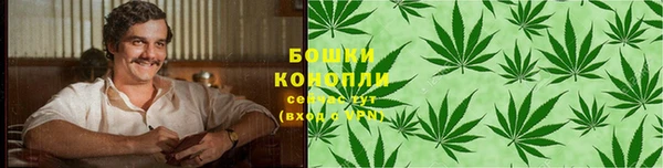 PSILOCYBIN Алексеевка