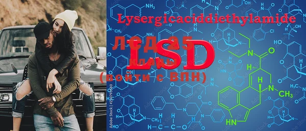 PSILOCYBIN Алексеевка