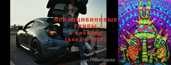 твердый Алексин