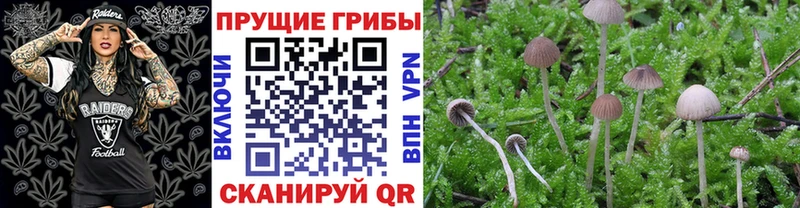Галлюциногенные грибы мухоморы Кирово-Чепецк