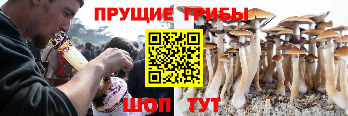 Галлюциногенные грибы прущие грибы  Вход с VPN  Кирово-Чепецк 